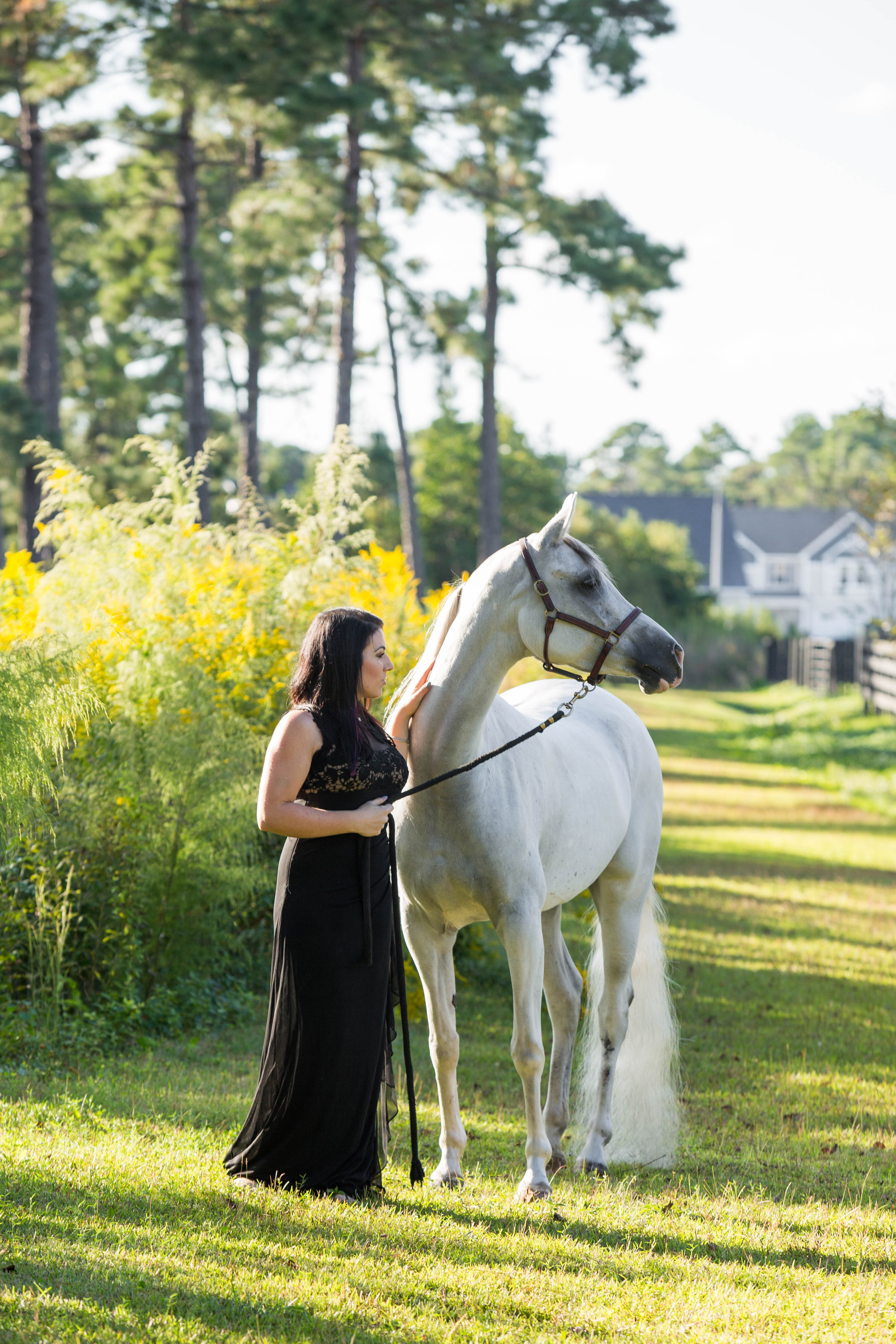 Equine Photo Session with Katie and Euphoria